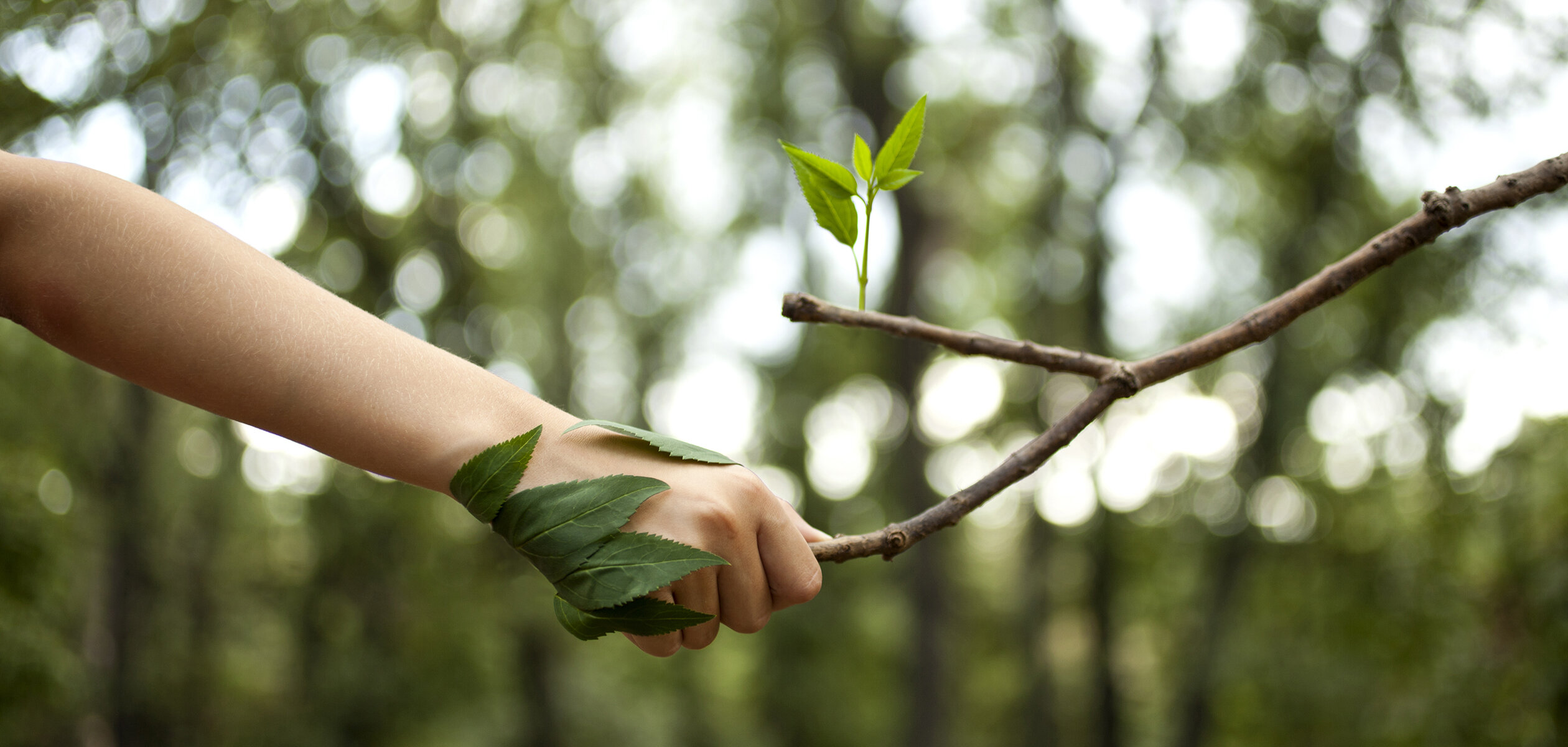 This is an example description for this item.